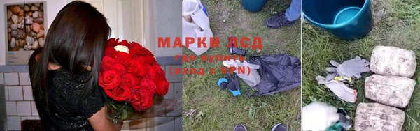 ПСИЛОЦИБИНОВЫЕ ГРИБЫ Баксан