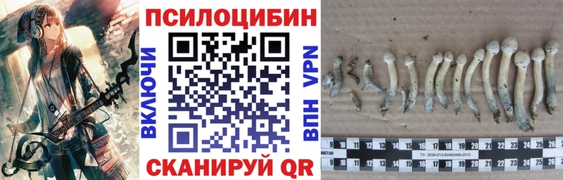 Псилоцибиновые грибы мицелий  Купить  Кашин 